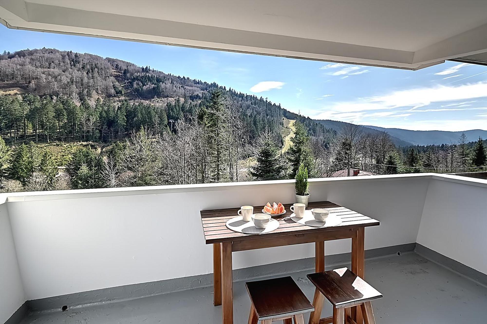 Le Cocoon - Appt Vue Montagne Lejlighed La Bresse Eksteriør billede